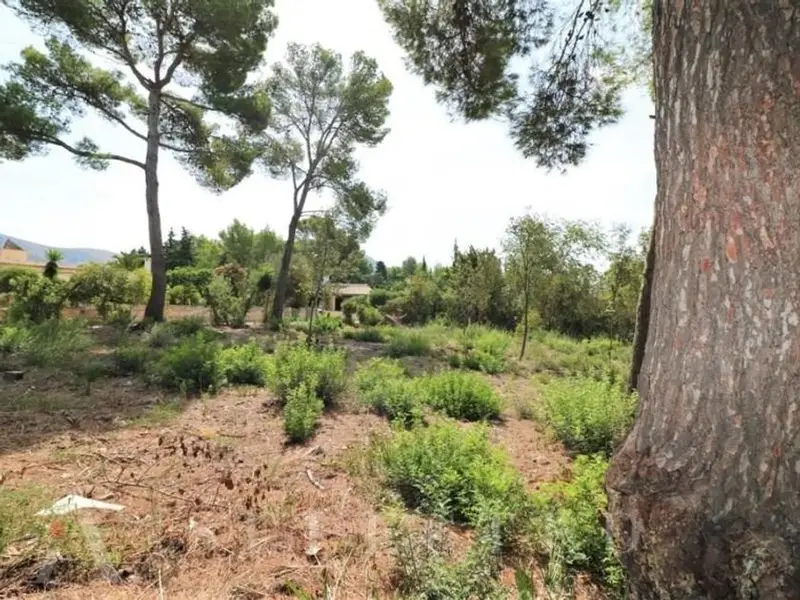 venta Terreno en Mal Pas - Bonaire, Balears (Illes) (TEJ-PP0192_3)- Globaliza