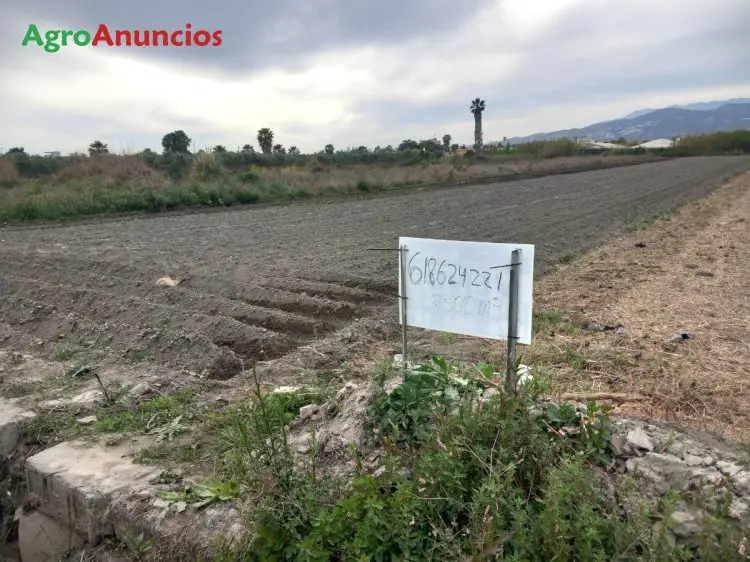 Venta  de Terreno de regadío en Granada