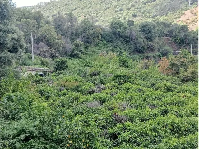 Terreno en Venta Estepona: 1 Hectarea con Vistas Panorámicas