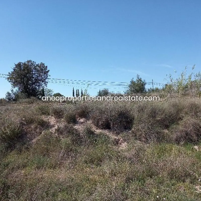 Terreno en Venta Novelda m

ás de 10000m2
