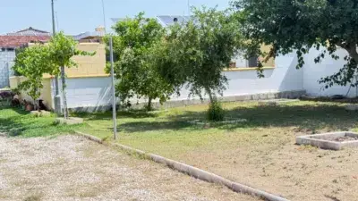 Finca Rustica en Venta Don Rodrigo Utrera 1000m2