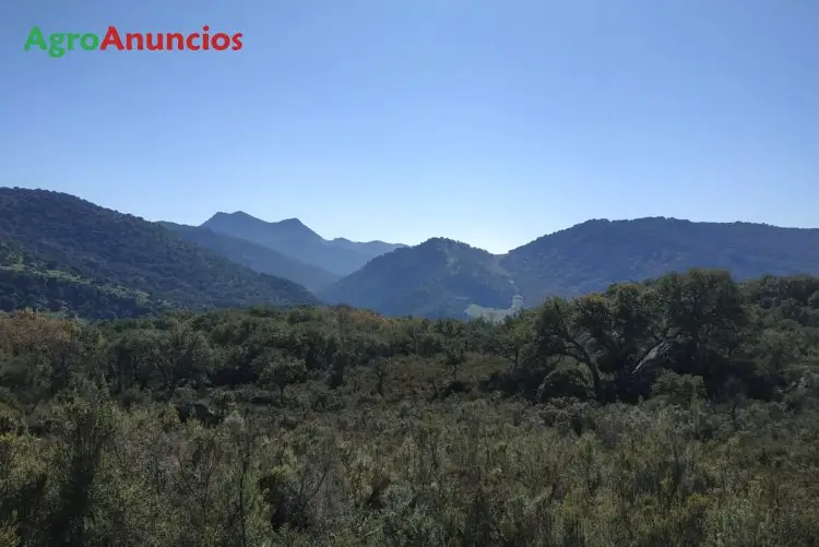 Venta  de Terreno forestal en Málaga