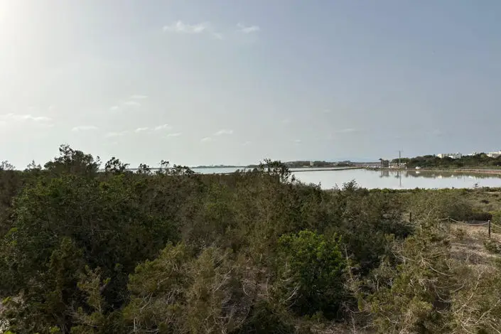 Finca de 2 Dormitorios en Formentera: Historia y Lujo