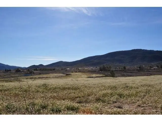 Parcela en Venta Monovar Alicante