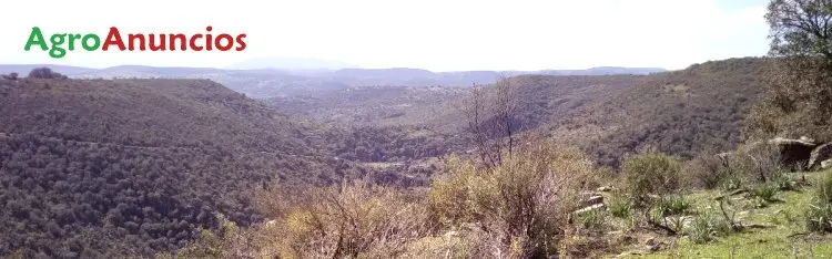 Alquiler  de Finca de pastos con labor y monte en Ciudad Real