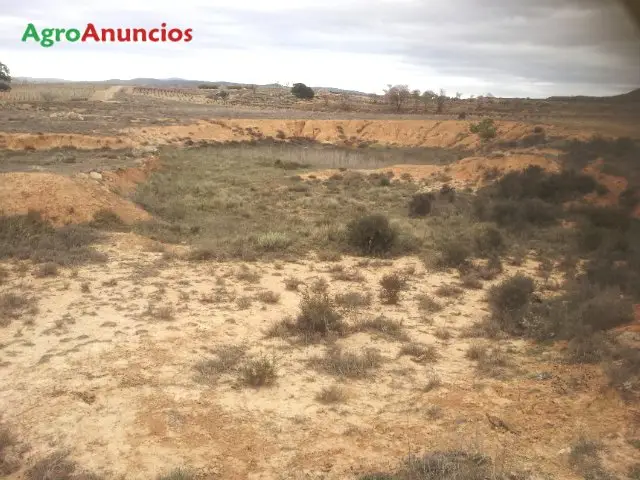 Venta  de Terreno de secano en Valencia