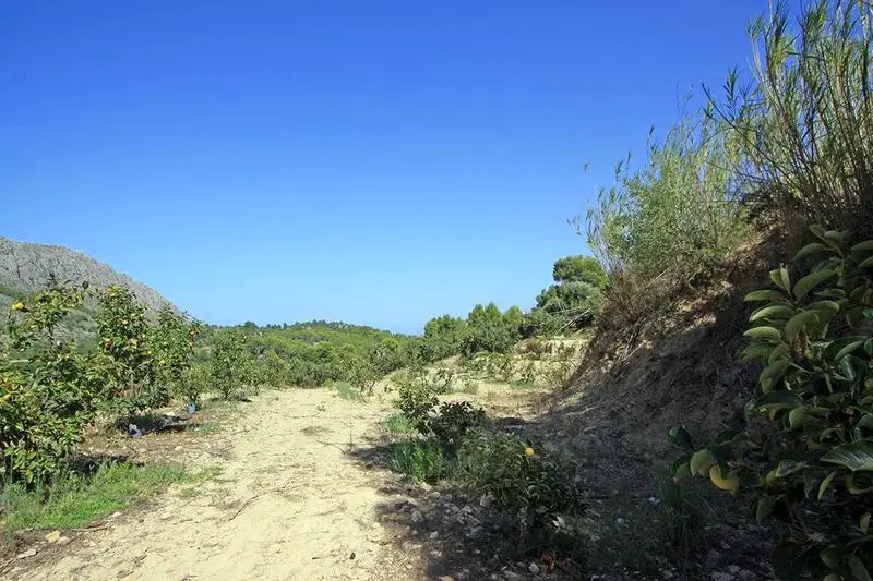 Parcela Rustica en Venta Beniarbeig Alicante