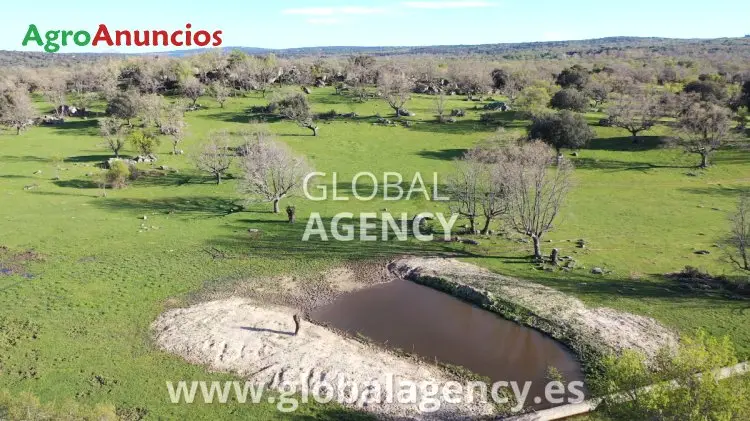 Alquiler  de Finca de pastos ganaderos en Madrid