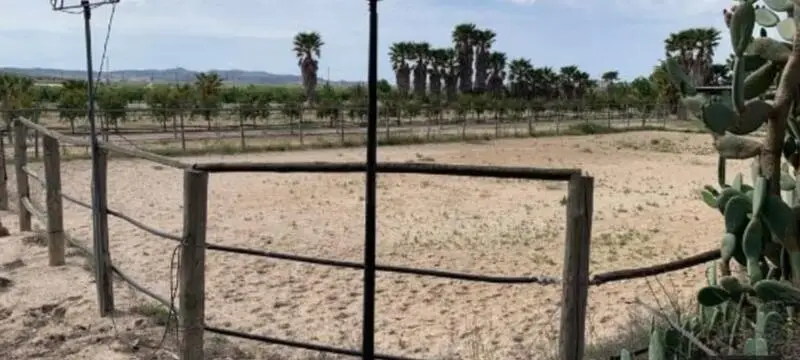 Finca Rustica 68000m2 3 Dormitorios Monforte del Cid