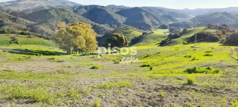 Finca rústica en venta en Andalucia