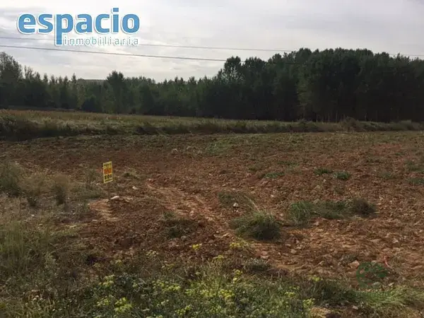 Finca Rustica en Arganza 10950m2 con Pozo