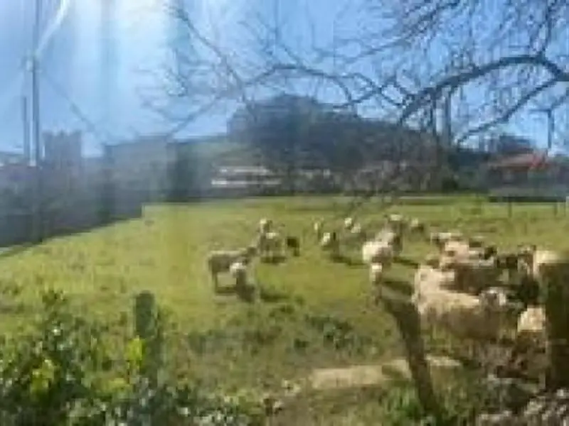 venta Terreno en Oreña, Cantabria (DEE-6902/3028)- Globaliza