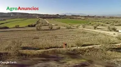 Venta  de Finca de regadío próximo a la población en Granada