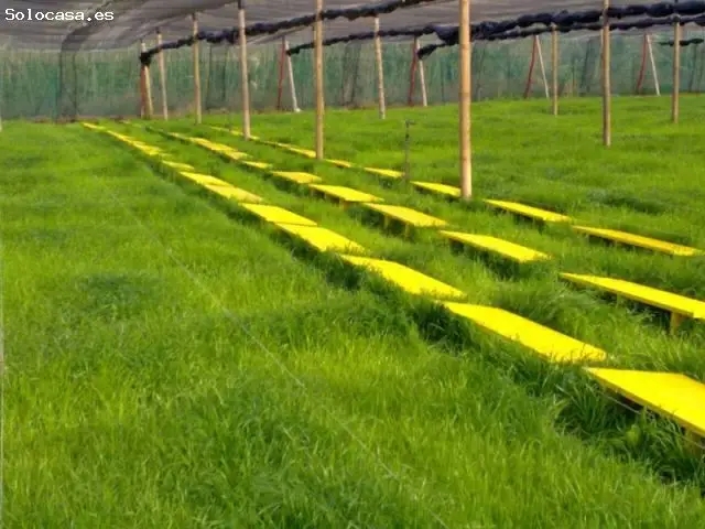 Terreno Rustico No Urbanizable en Sils 16193m2