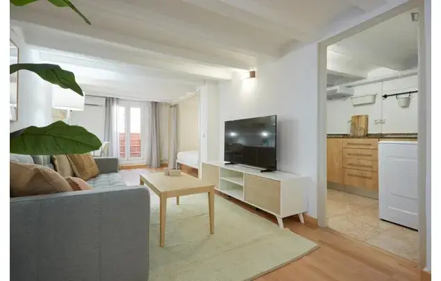 Alquiler Apartamento 1 Dormitorio Barcelona Estancia Temporal