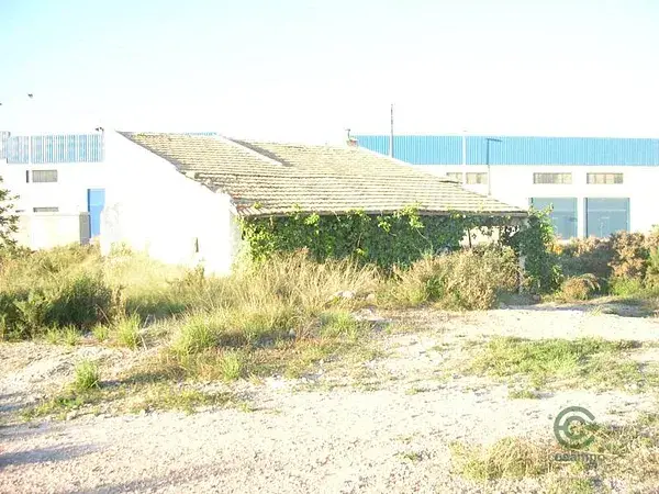 Terreno en Crevillent 4000m2