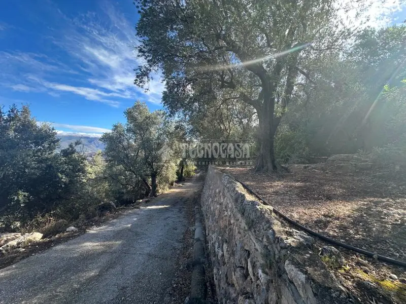 Terrenos en venta en El Pinar