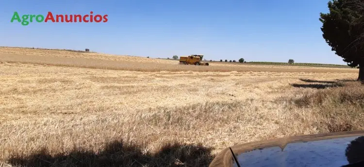 Finca Rustica Regadio Toledo 11 Hectareas