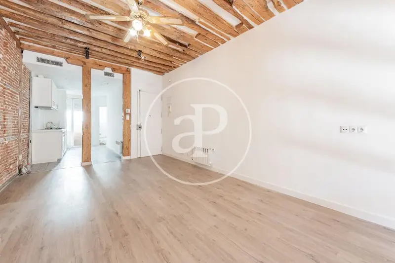 Loft en Lavapiés Madrid 64m2 Recién Reformado