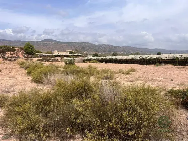 Parcela Agricola 6124m2 Alhama de Murcia