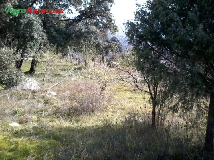 Venta  de Terreno de secano en Madrid