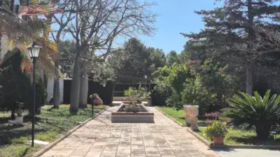 Chalet en alquiler en Carrer Virgen de Guadalupe