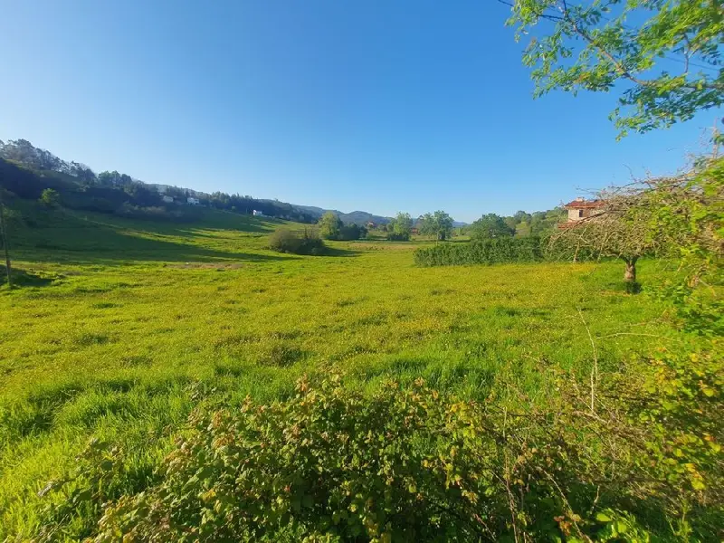 Venta Terreno Cornellana Salas Vivienda Unifamiliar