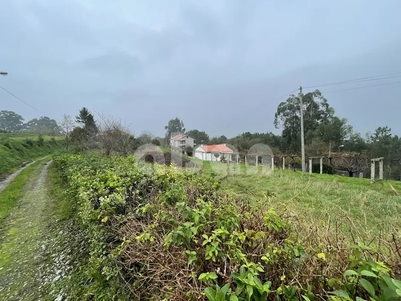 venta Terreno en Sanxenxo, Pontevedra Provincia (TSANXENXO-CASTRO-VILALONGA-HPG)- Globaliza