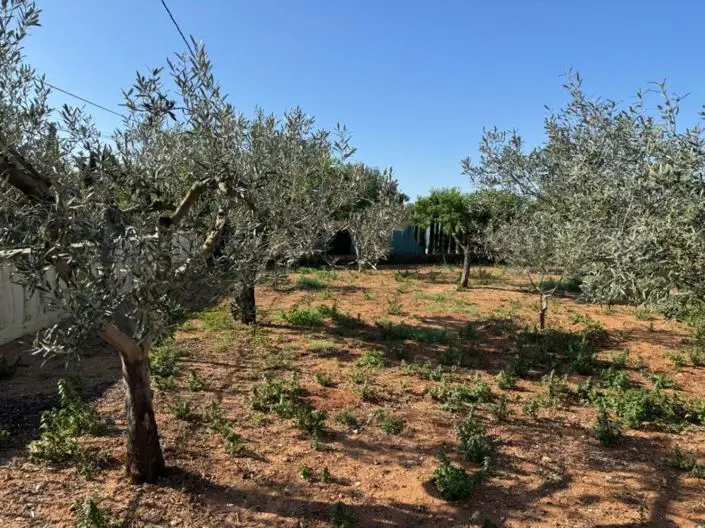 Finca Rustica 4 Dormitorios Benissa