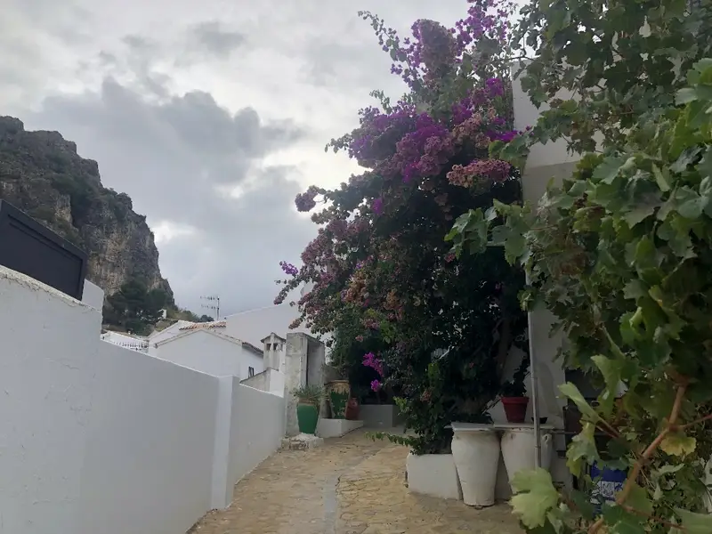 Adosado 5 Dormitorios Zahara-De-La-Sierra Vistas