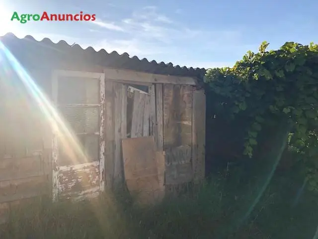 Venta  de Finca con casa en zona tranquila en A Coruña