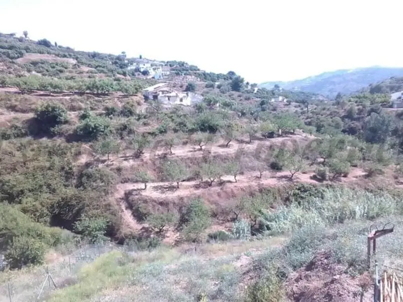 Finca Rustica en Frigiliana Malaga