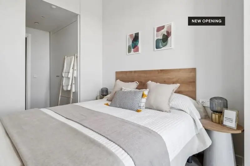 Apartamento 1 Dormitorio Madrid Alquiler