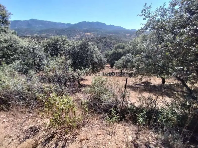 Parcela Rustica en Venta Fuencaliente Ciudad Real