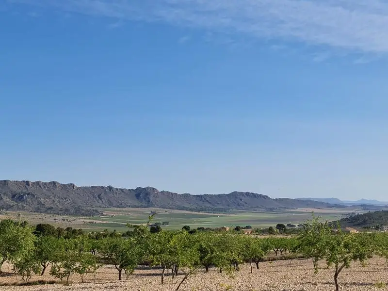 Terreno en Venta Raspay Murcia 49568m2