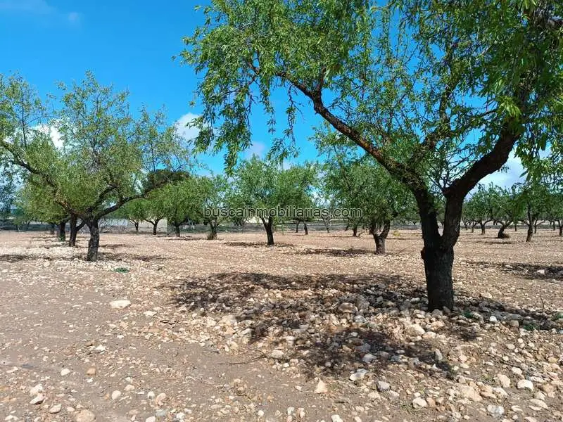 Parcela Rustica en Venta Yecla 1750m2