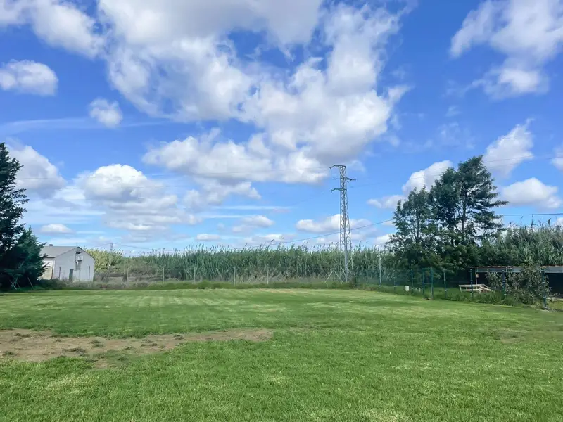 Casa de Campo en Aljaraque 200m2 5000m2 parcela Reformada