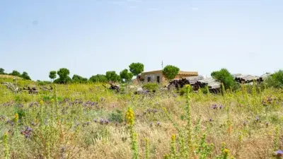 Finca rústica en venta en Malcocinado
