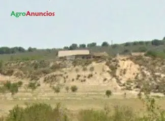 Venta  de Finca con almacén en Alicante