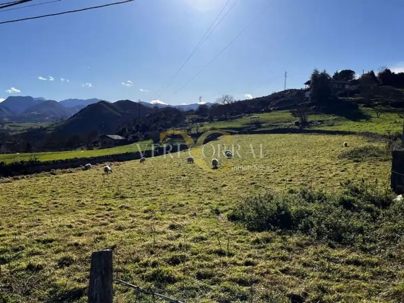 venta Chalet en Castañera (Parres), Asturias (RI4130)- Globaliza