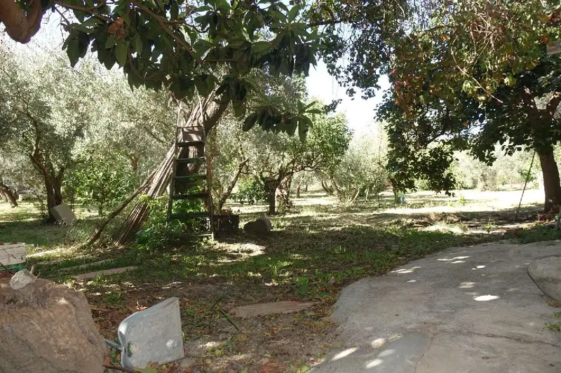 Venta Casa 2 habitaciones Orgiva Parcela Frutales Piscina