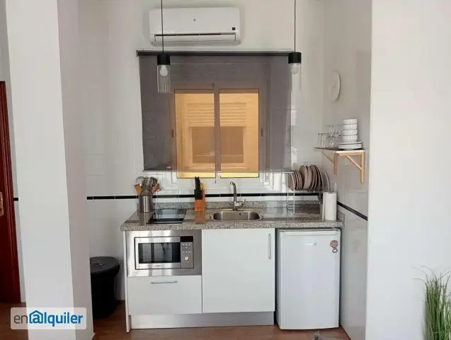 Alquiler piso aire acondicionado Triana