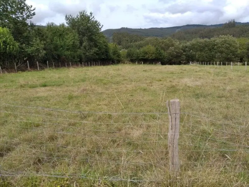 Venta Finca Edificable Cedeira Santa Maria MAS_154