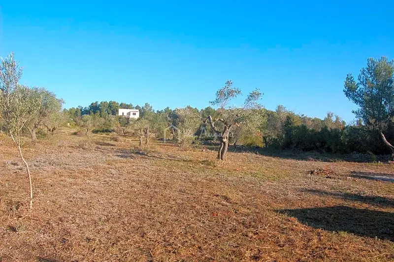 Finca Rustica en Venta El Perelló Tarragona