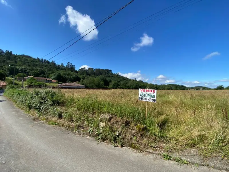 Parcelas en Venta Sariego -  2000m2 Edificables - Cerca de Oviedo y Gijon