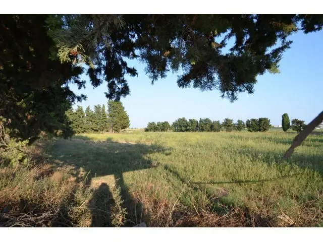 Solar Rustico en Alquiler Cubelles 14500m2
