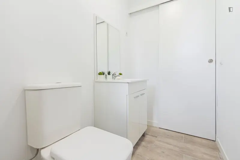 Habitación Doble Madrid Centro Casa de Campo Estudiantes Profesionales