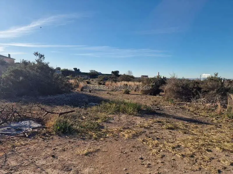 Parcela Rustica en Venta Elche La Galia Bonavista 5300m2