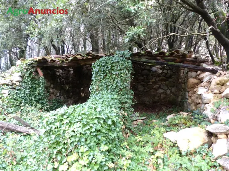 Venta  de Finca con masía en plena naturaleza en Barcelona