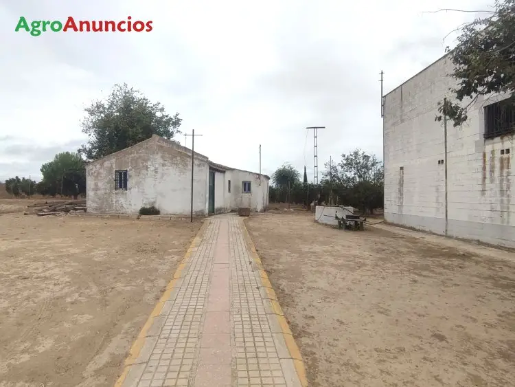 Venta  de Finca de recreo con casa y nave con boxes en Sevilla